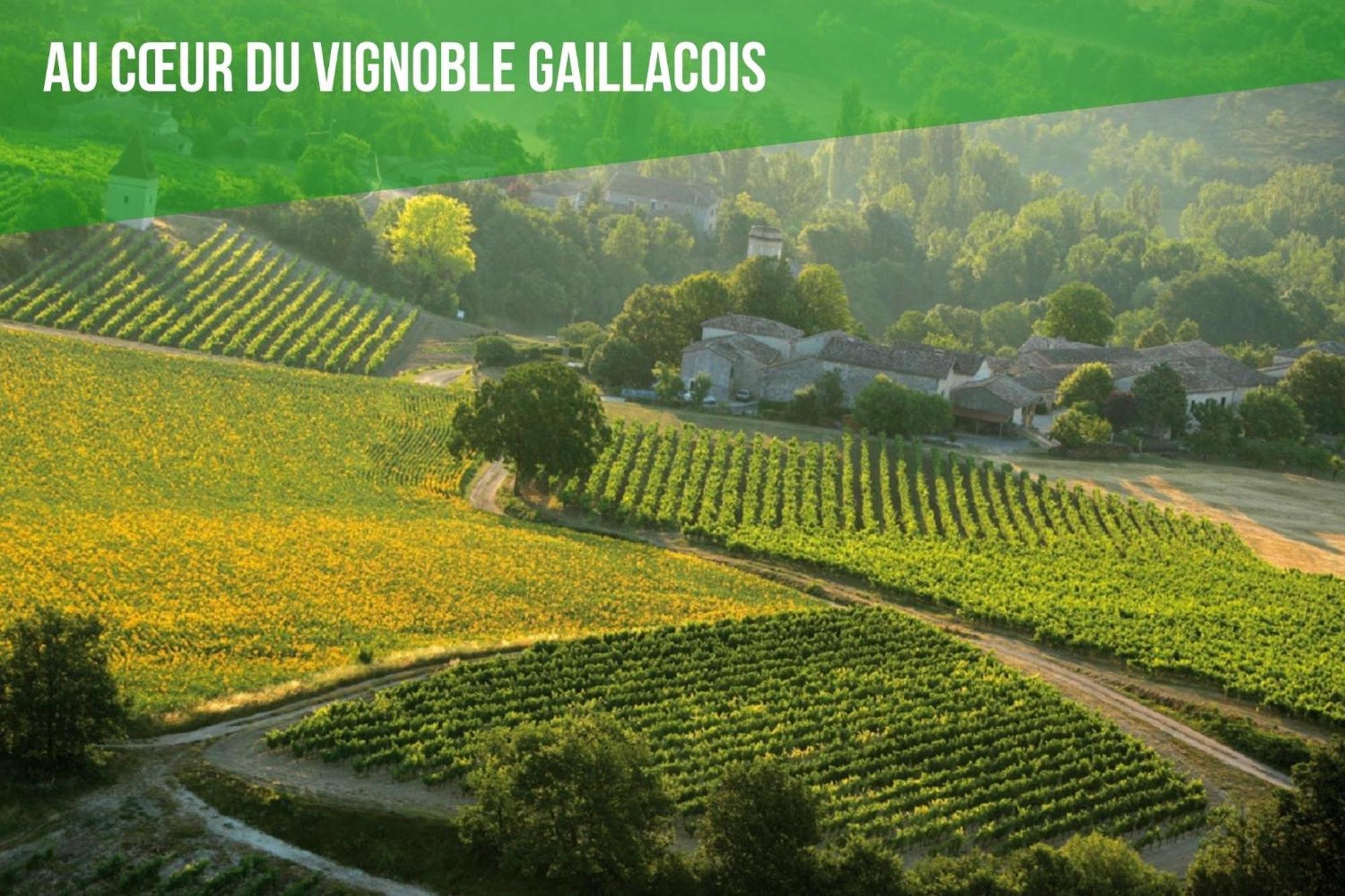 Le Cottage Nature Vigne Rouge Sauna Gaillac Entre Albi-Toulouse & Les Cottages Du Tarn Brens  Eksteriør billede