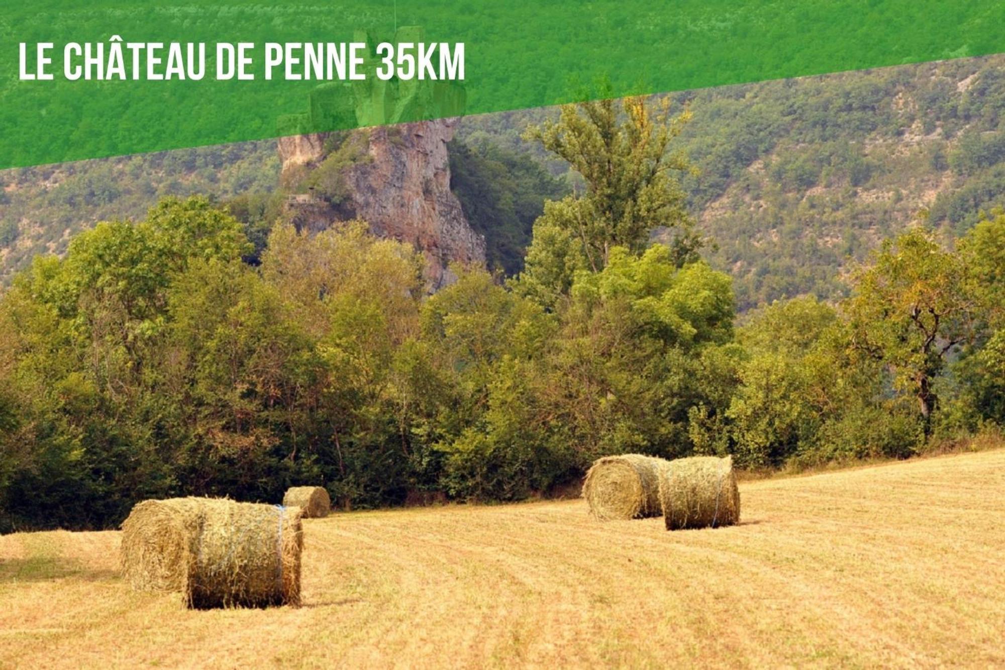 Le Cottage Nature Vigne Rouge Sauna Gaillac Entre Albi-Toulouse & Les Cottages Du Tarn Brens  Eksteriør billede